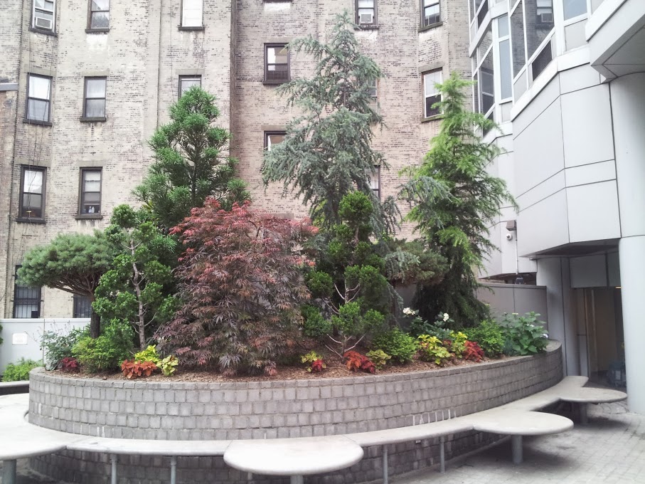 outdoor space improvement contractors NYC photo