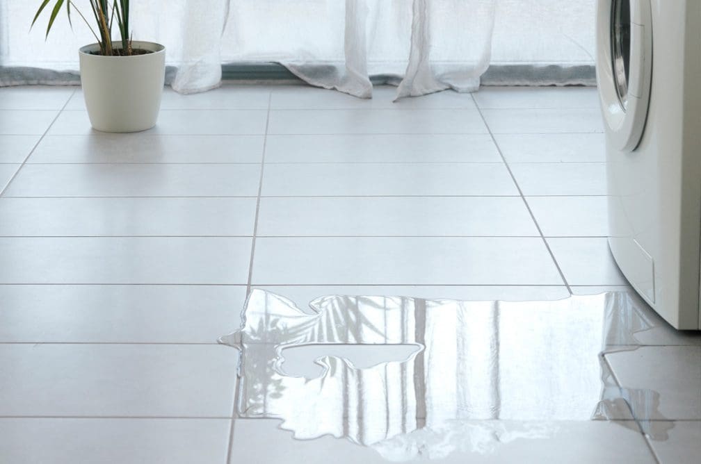 best water damage company in Dallas photo
