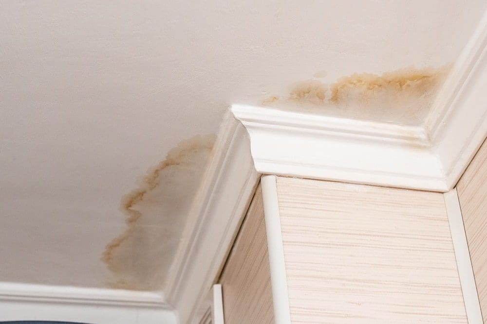 best water damage company in Dallas photo