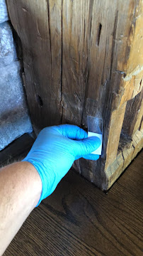 The Mold Pros of Texas — Texas photo