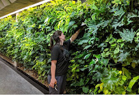 professional landscaper near me photo