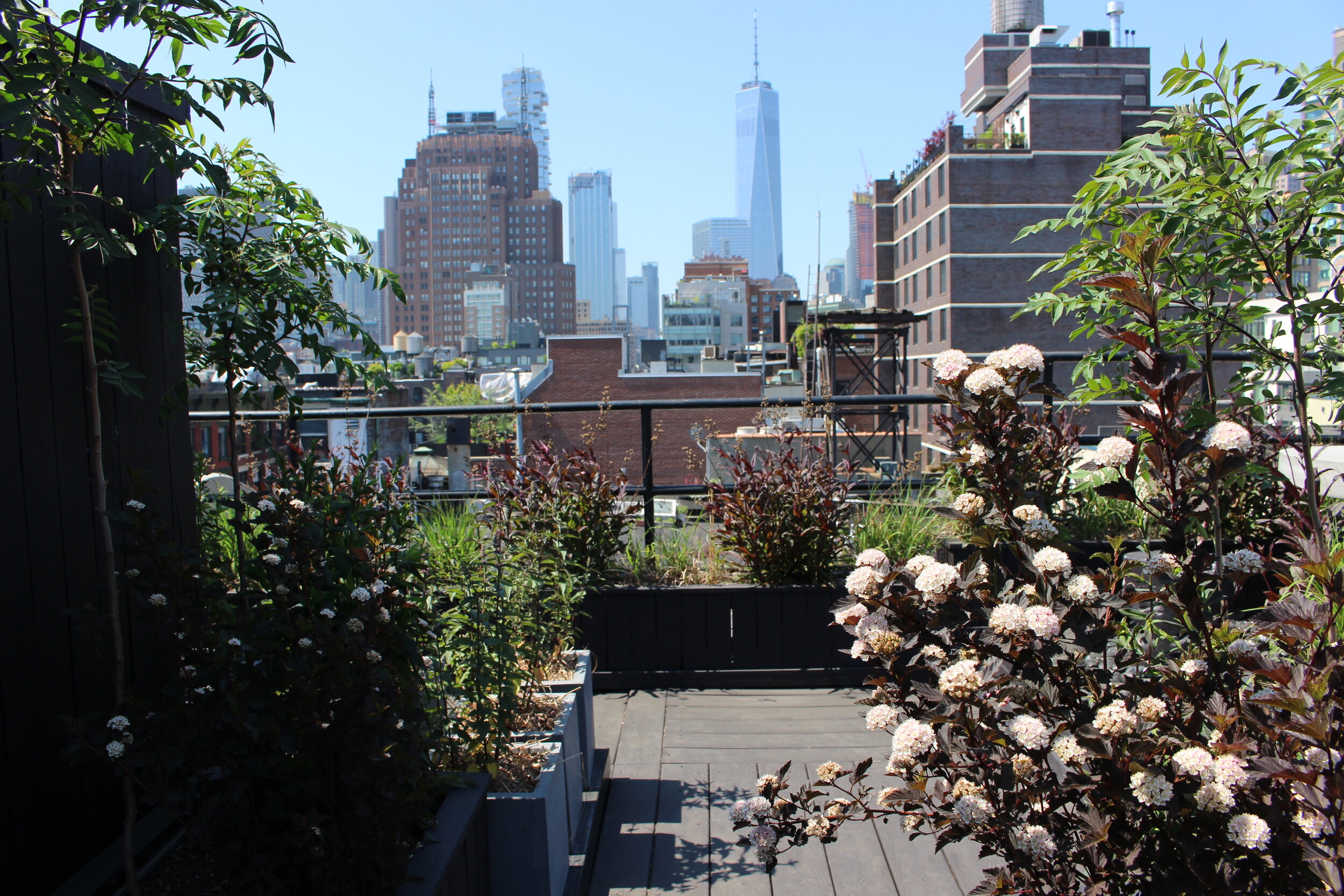 vegetable garden installation Manhattan photo