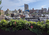 vegetable garden installation Manhattan photo