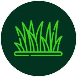 seasonal lawn care Austin photo