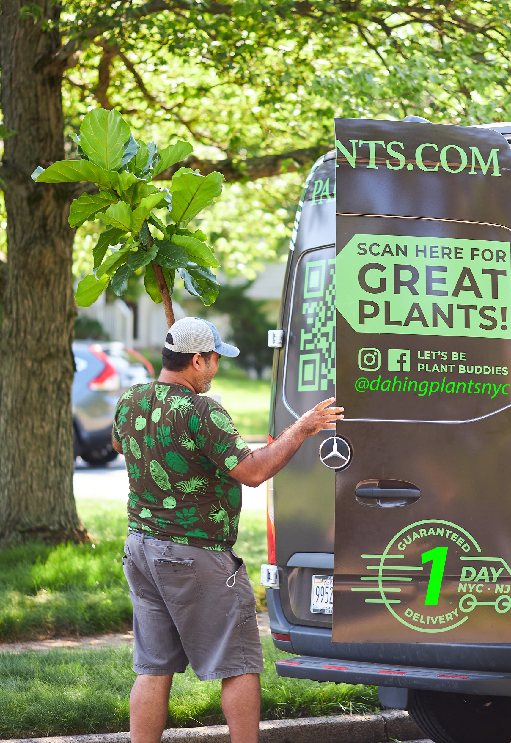 commercial plant service DE photo