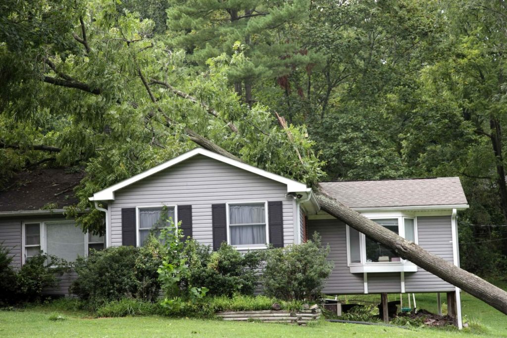 storm damage repair Addison photo