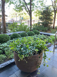 seasonal garden installation in Blue in Green Gardens