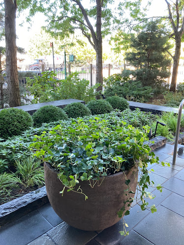 seasonal garden installation in Blue in Green Gardens photo