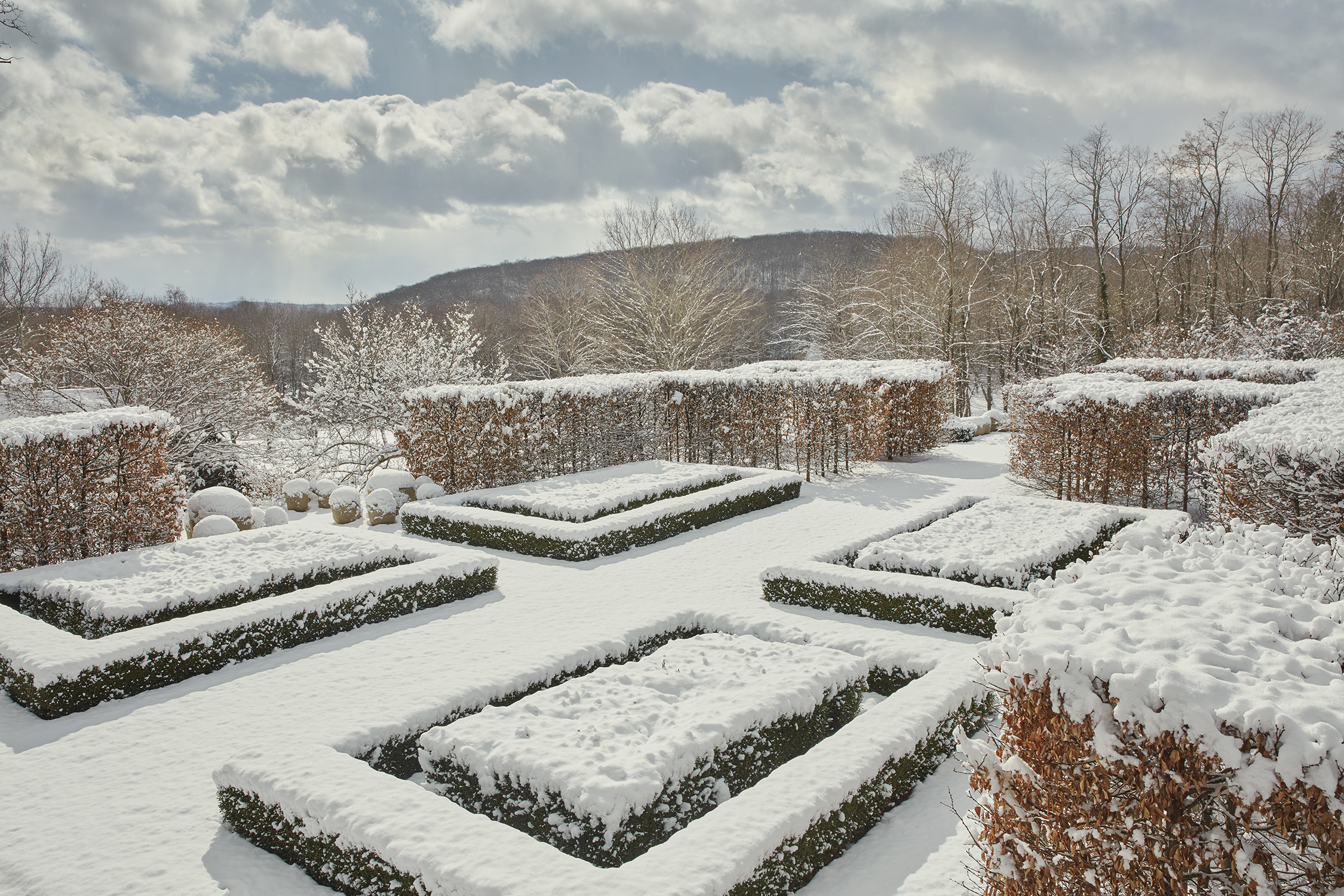 garden consultation Miranda Brooks Landscape Design