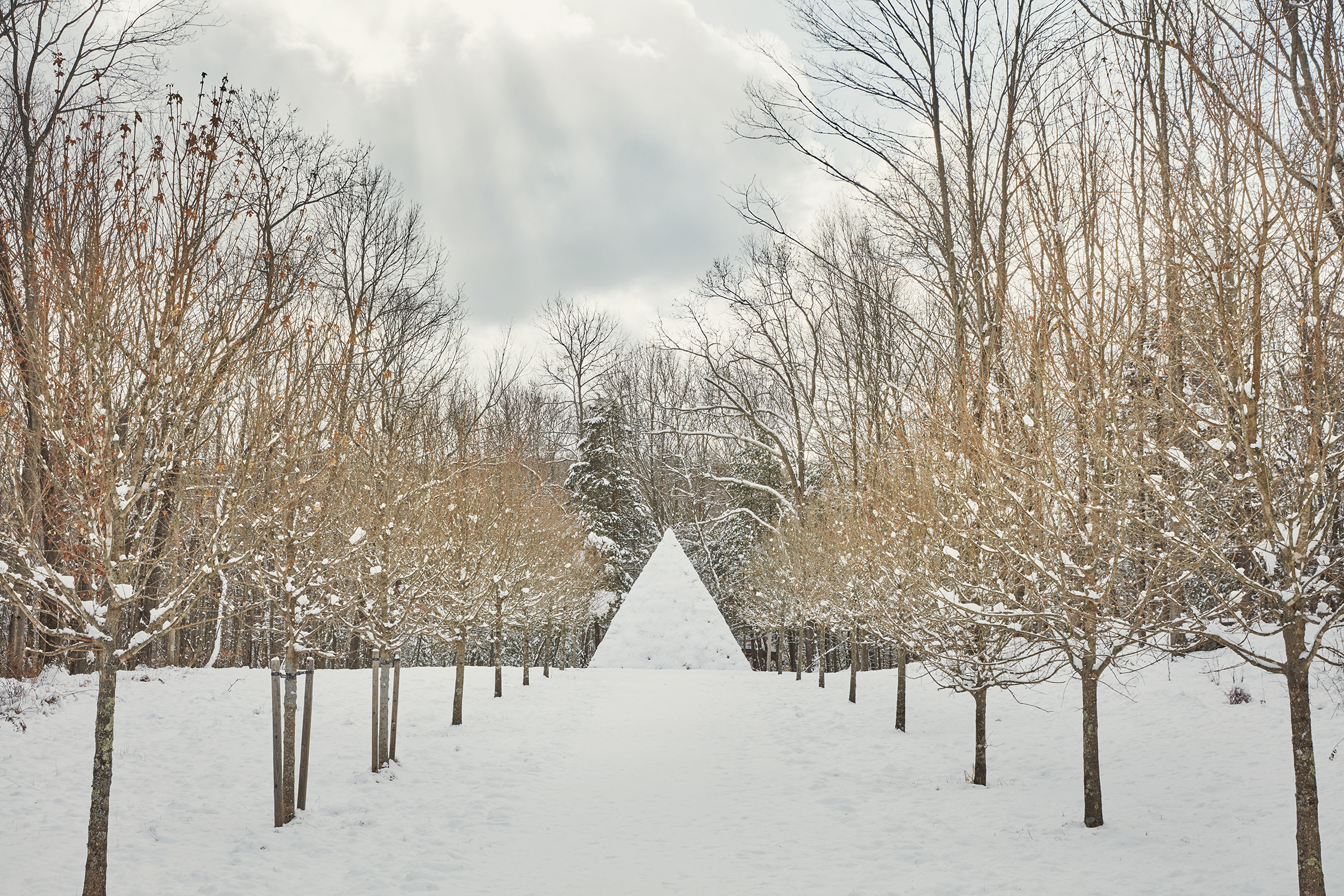 garden consultation Miranda Brooks Landscape Design photo