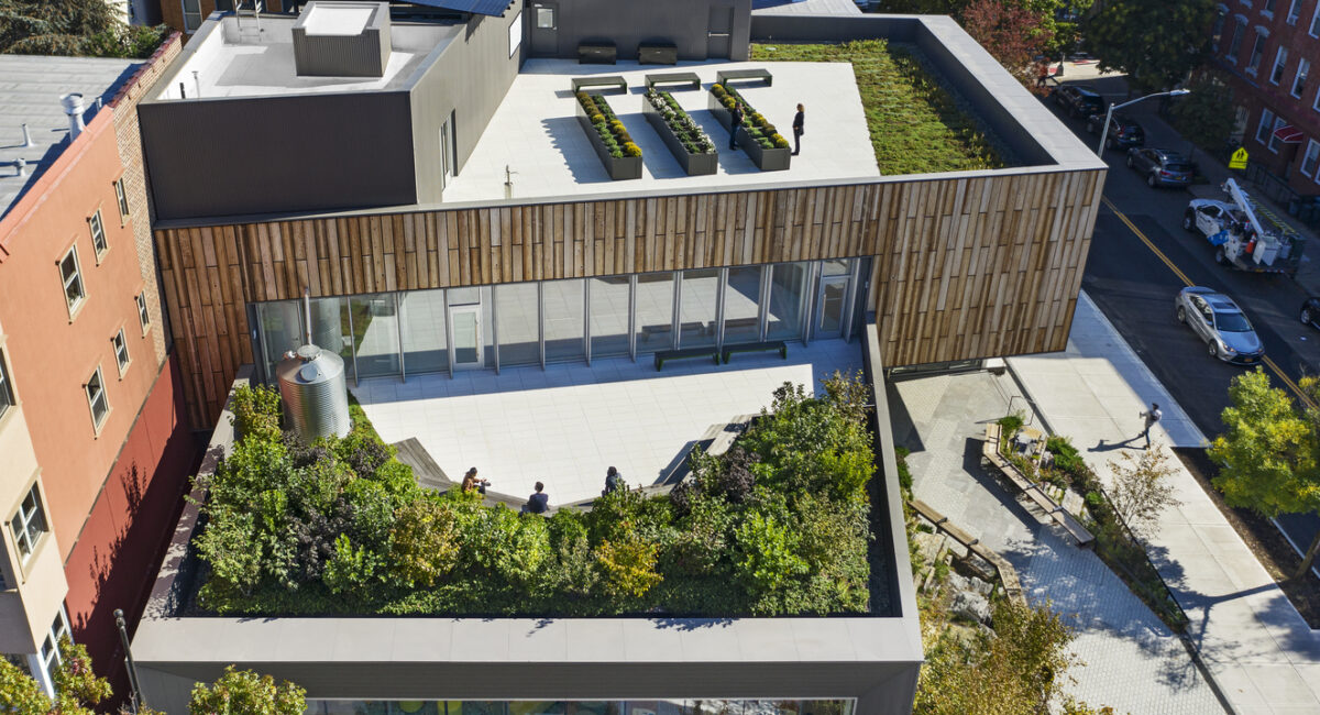 corporate office plant design NYC photo