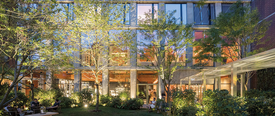 corporate office plant design NYC photo