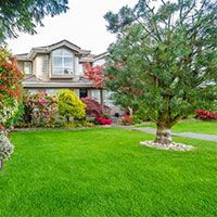 emergency tree removal Bergen County photo