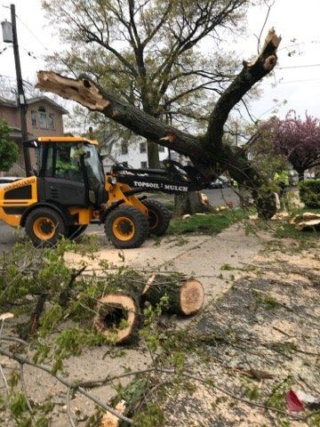emergency tree removal Bergen County photo