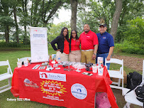 mold testing Chicago photo