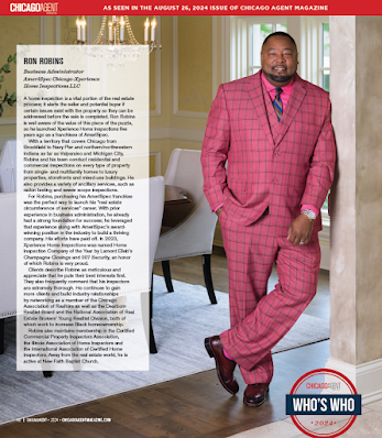 mold testing Chicago photo