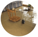emergency water extraction Metro Atlanta photo