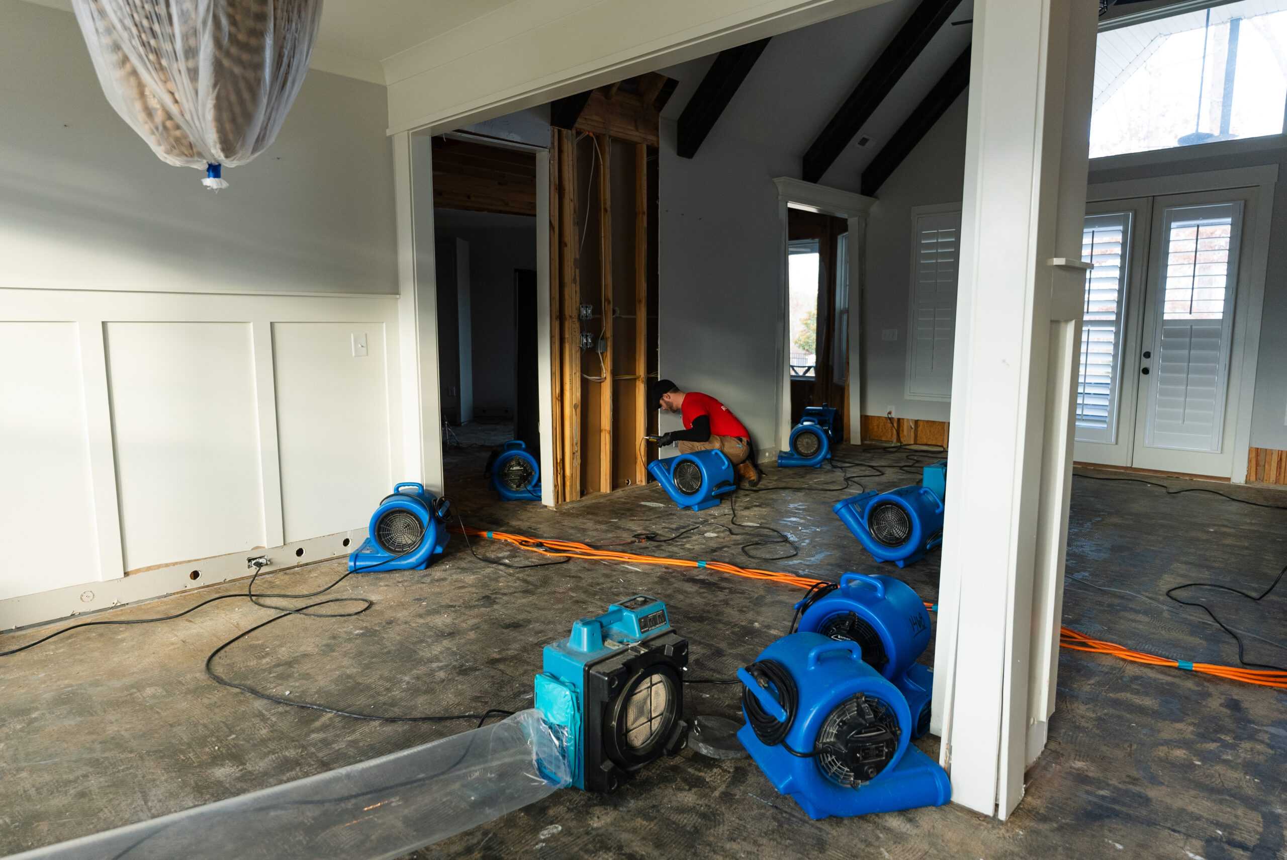mold remediation Atlanta