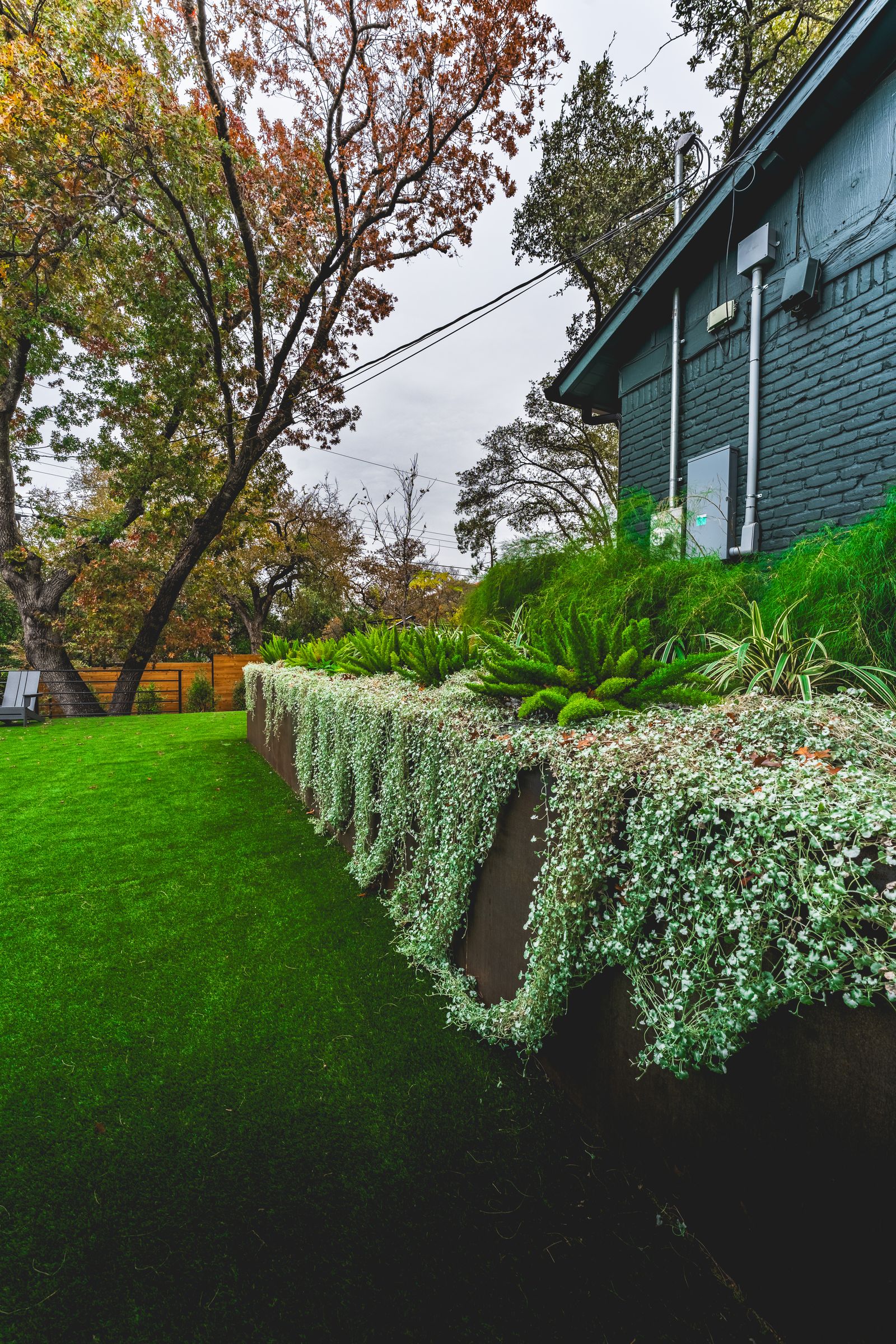 seasonal lawn cleanup Austin photo