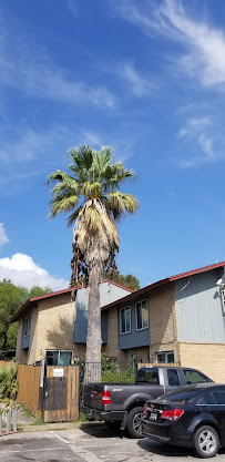 lawn maintenance in Cedar Park photo