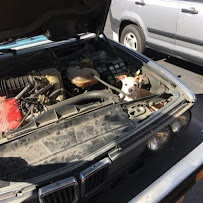 fleet service mobile mechanic Austin