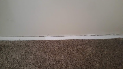 affordable carpet cleaning near me
