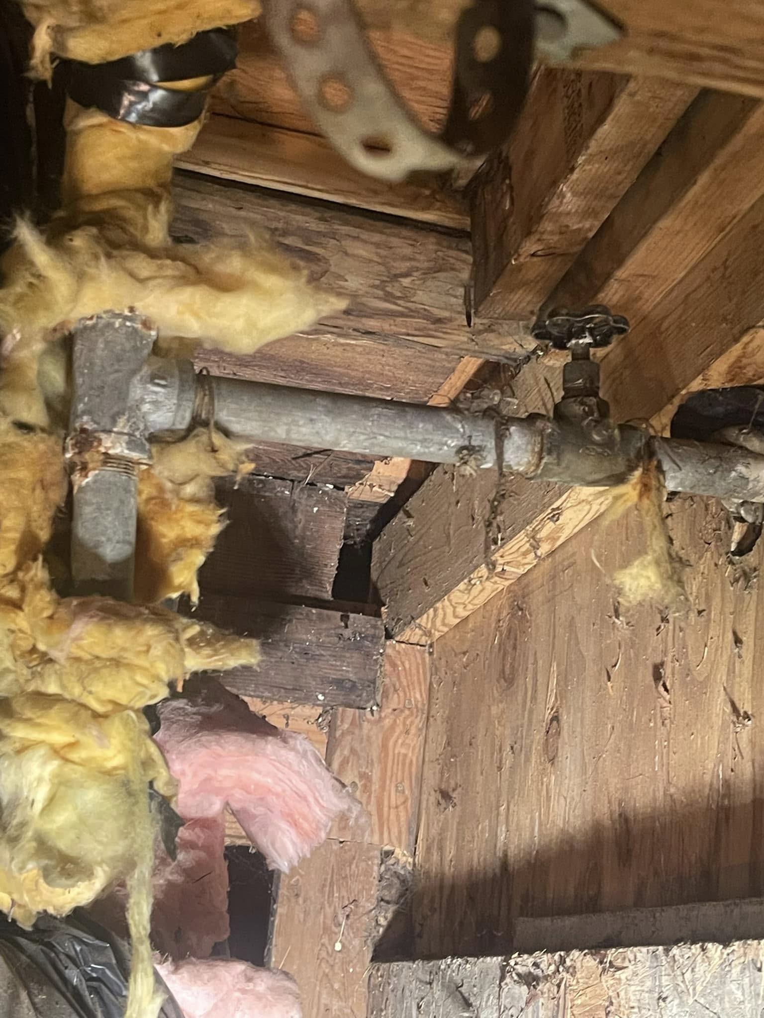 Pro Plumbers Newark - Premier Plumbing Services in Newark, NJ photo
