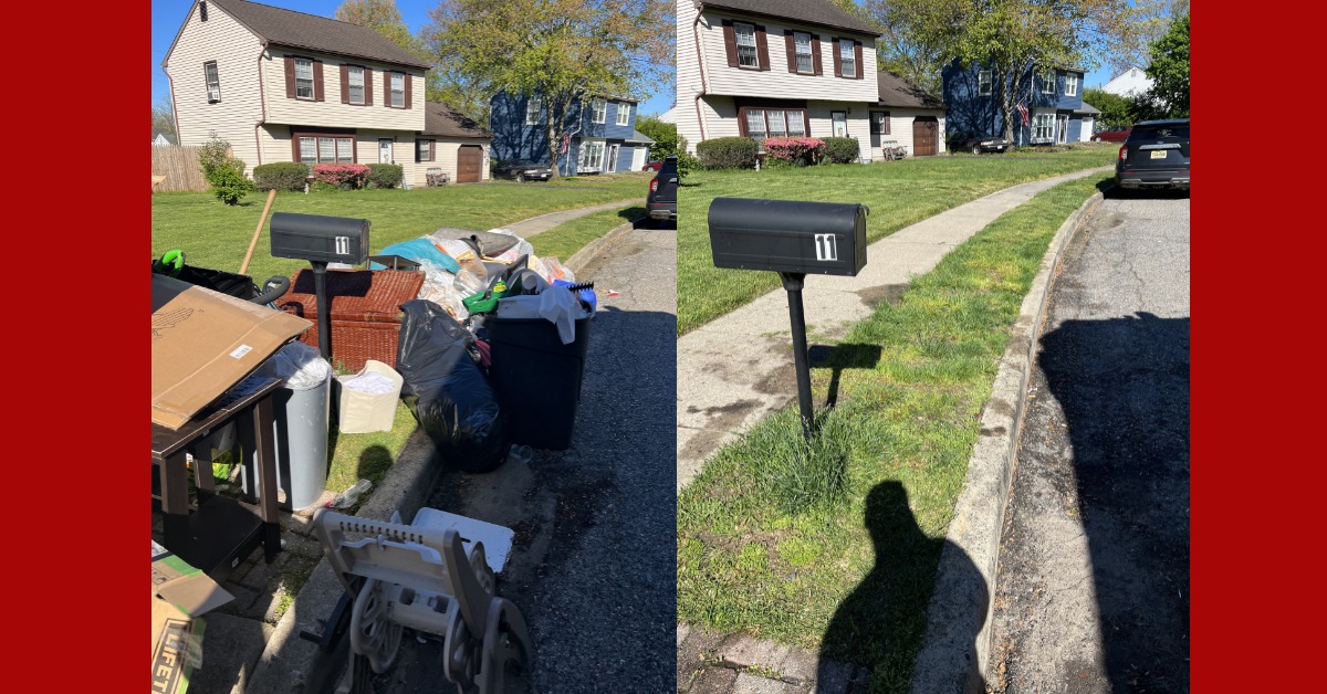 All Phase Junk Removal