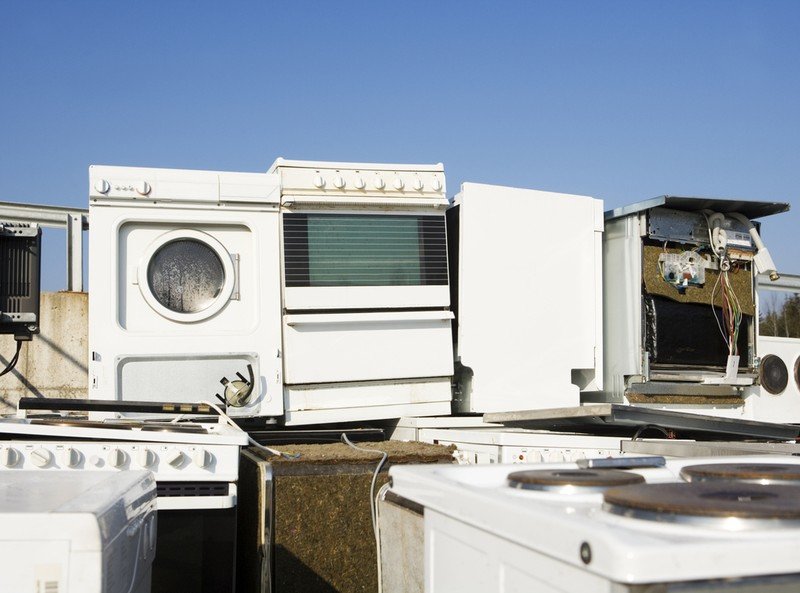 Reliable Junk Removal & Hauling in Orlando, FL - Francis Greenworks