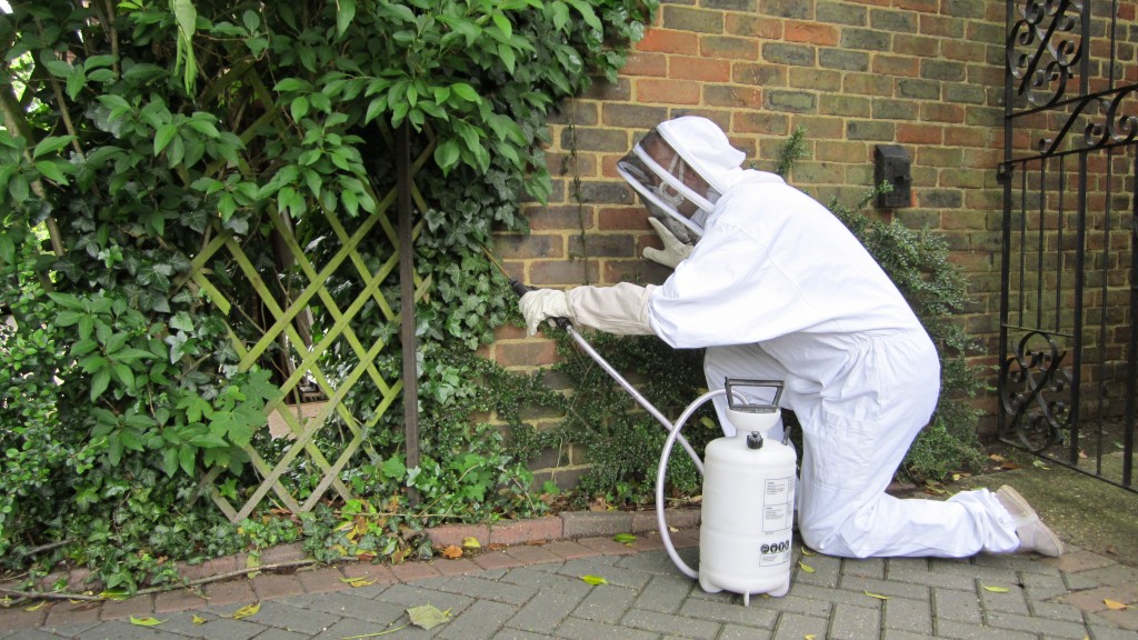 Local Experts in Pest & Wildlife Control in League City, TX