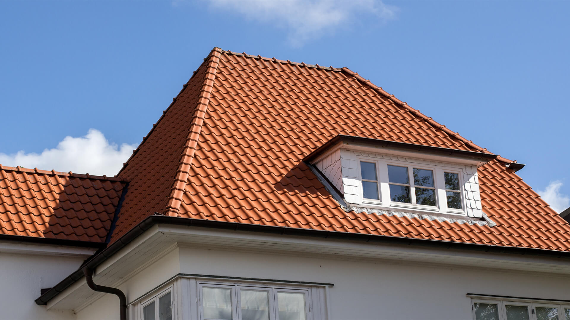 Roof Drs photo