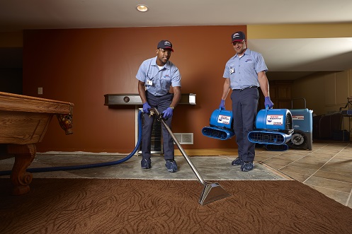 Roto-Rooter Plumbing & Water Cleanup – Seattle, WA photo