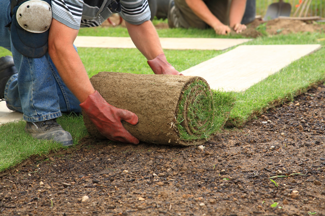Sergio's Lawn Services In Mesa AZ
