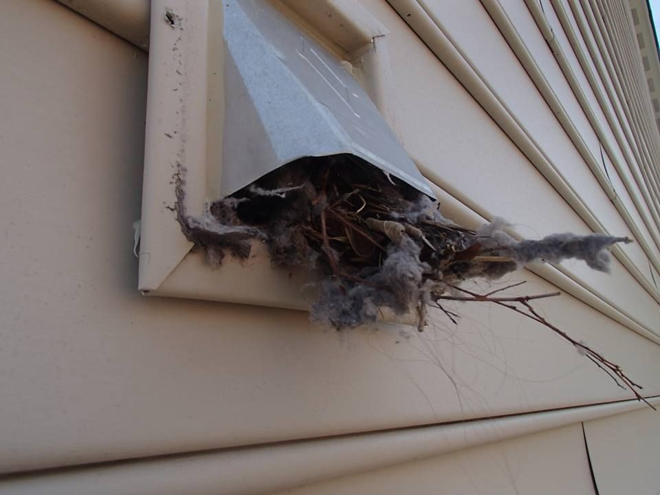 NCS Wildlife Solutions